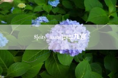 阳泉2022九宫