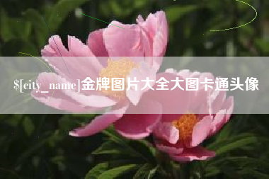 阳泉金牌图片大全大图卡通头像