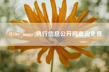 阳泉执行信息公开网查询免费